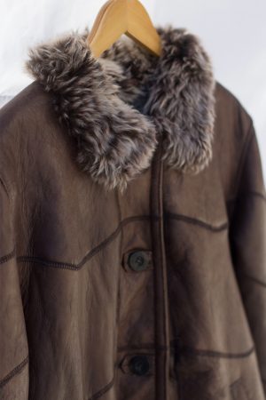Gamulán collareta marrón oscuro, lana nevada